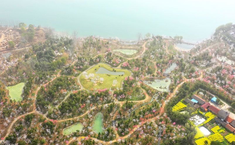 易景通为湖北荆州浅山湖樱森林公园提供智慧化的票务系统解决方案