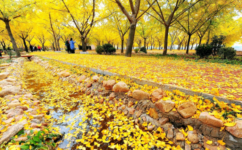 山东景区票务系统