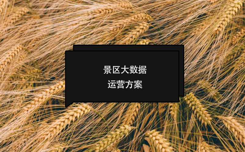 景区大数据运营方案