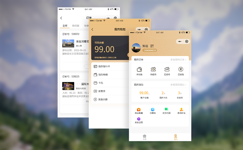 构建高效景区电子票务系统的全景方案